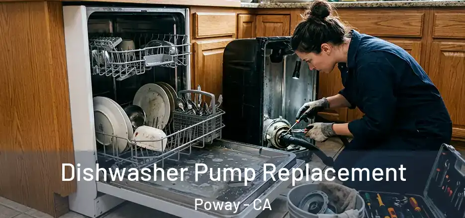 Dishwasher Pump Replacement Poway - CA