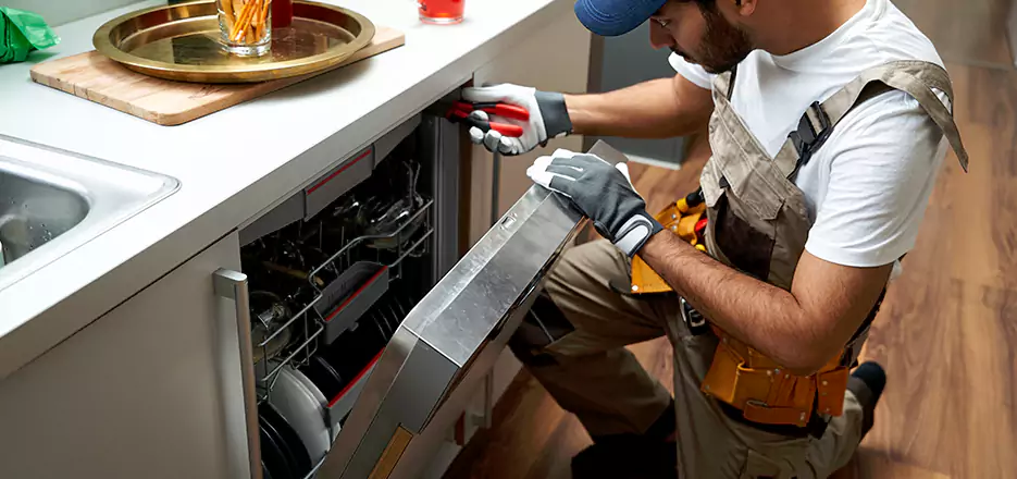 Same Day Dishwasher Not Draining Repair in Poway
